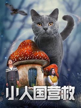 91精品国产自产在线观看直播