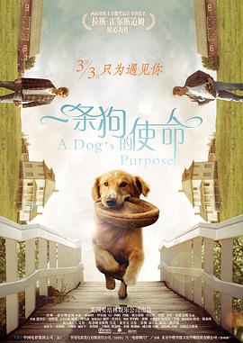 一本色道久久综合亚洲精品婷婷
