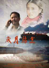 啄木鸟 空姐