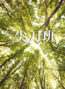 亚洲另类交