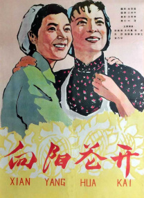91视频免费观看