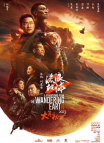 国内精品久久久久久网站