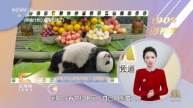 一区 在线视频